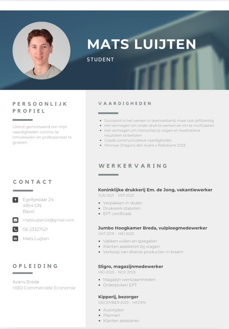 Huidige cv van Mats
