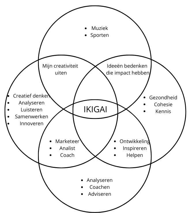 Ingevuld IKIGAI-model van Mats