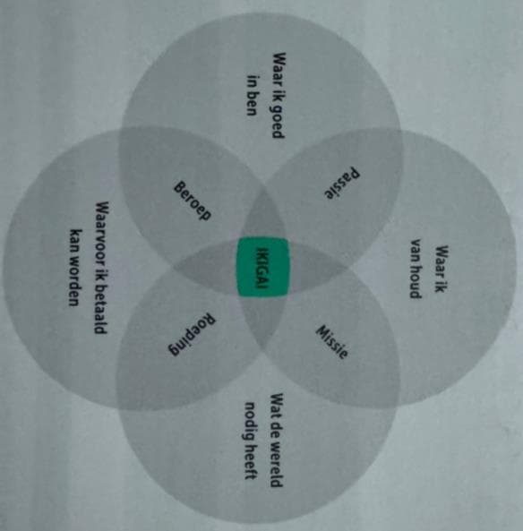 Uitleg van het IKIGAI-model
