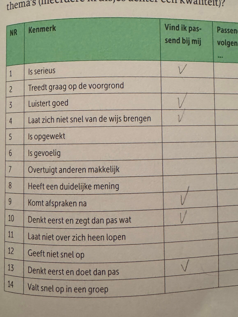 Persoonlijk profiel / Jaar 2 CE bewijsbeeld 9
