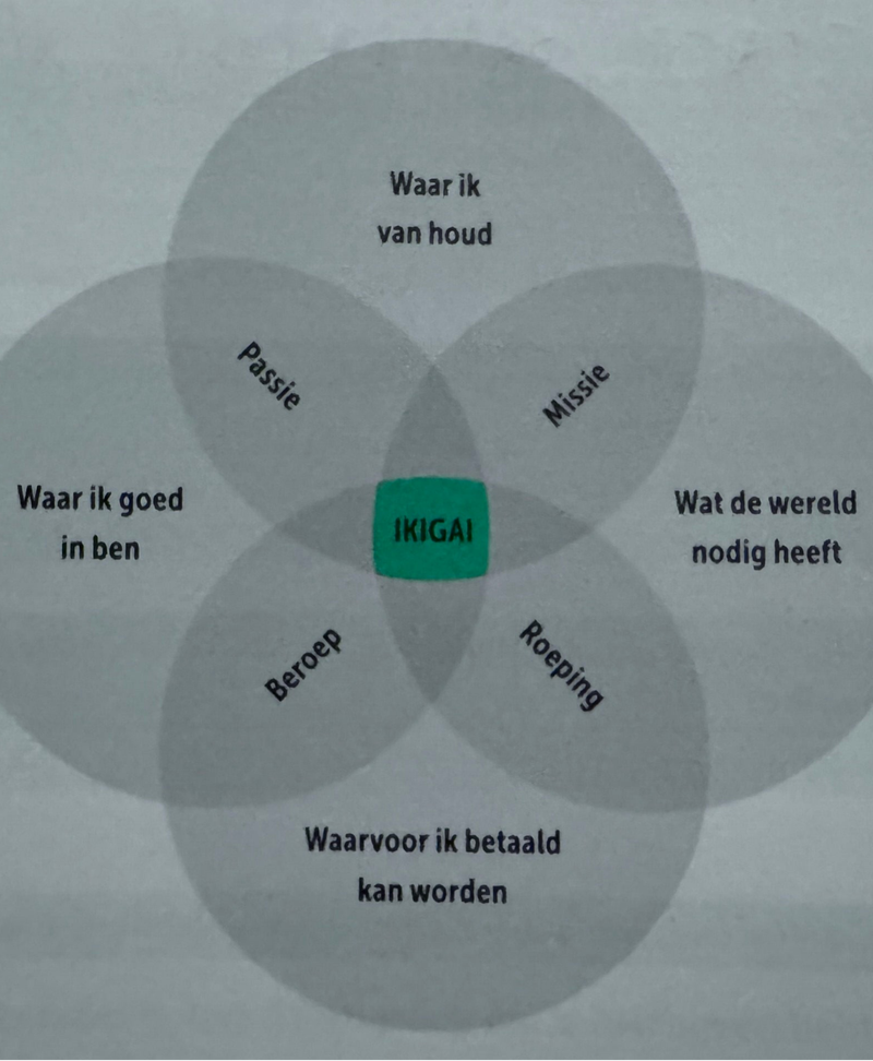 IKIGAI / Jaar 2 CE bewijsbeeld 1