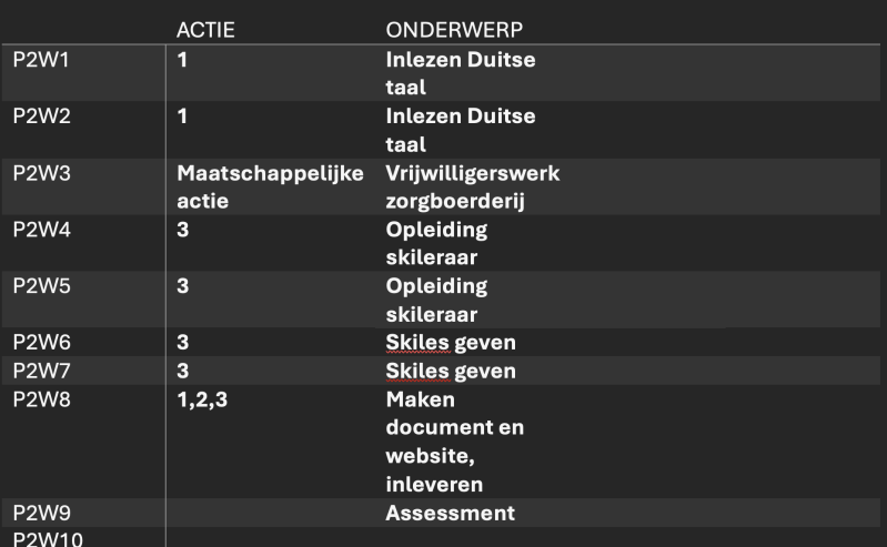 Ontwikkeldoel 1 / Semester 2 / Jaar 2 CE bewijsbeeld 3