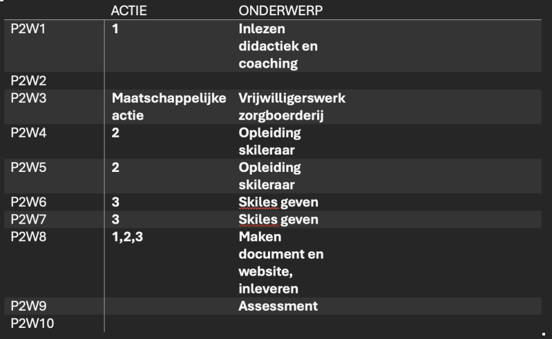 Ontwikkeldoel 2 / Semester 2 / Jaar 2 CE bewijsbeeld 2